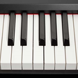 ไอคอนของโปรแกรม: Play Organ