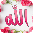 プログラムのアイコン：Allah Name Live Wallpaper…