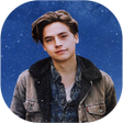 程序图标：Cole Sprouse Wallpaper 4K