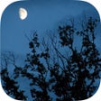 プログラムのアイコン：Relax Night Sounds - Whit…