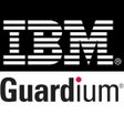 Icône du programme : IBM Guardium