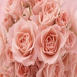 أيقونة البرنامج: Roses theme