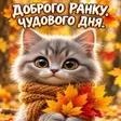 Icon of program: Мирного ранку дня вечора