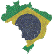 程序图标：Brasil futebol