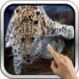 程序图标：Magic Touch: Leopard Live…