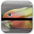 Ikon program: PhotoWipe