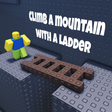 climb a mountain with a ladder