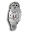 Symbol des Programms: Noctua