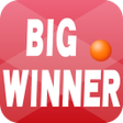 プログラムのアイコン：Big Winner