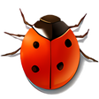 プログラムのアイコン：Coccinella