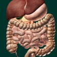 程序图标：ORGANS 3D ANATOMY