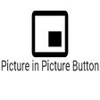 Icon of program: Picture in Picture Button