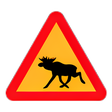 Symbol des Programms: Schwedisch Aktiv