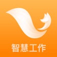 Icon of program: 掌狐