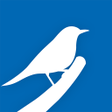 程序图标：40 Gartenvögel  ihre Stim…