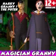 Harry Granny Potter : Hogwarts