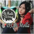 プログラムのアイコン：Dj Te Molla Remix Full Ba…