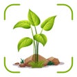 ไอคอนของโปรแกรม: Plant Identifier Disease …
