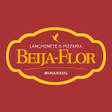 プログラムのアイコン：Pizzaria Beija Flor