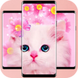 プログラムのアイコン：Wallpaper Kucing Imut 4K
