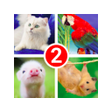 أيقونة البرنامج: Guess the word 2  4 Pictu…