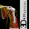 Ikona programu: Shoulder Pro III with Ani…