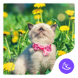 プログラムのアイコン：Enjoy Life-APUS Launcher …