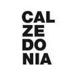 calzedonia official app icon