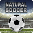 Ikon program: Natural Soccer - Fun Arca…