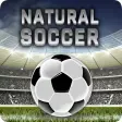 Natural Soccer - Fun Arcade Fo