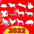 程序图标：Daily Chinese horoscope 2…