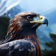 Ícone do programa: Eagle Aesthetic HD Wallpa…