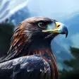 Eagle Aesthetic HD Wallpaper