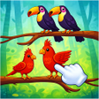 ไอคอนของโปรแกรม: Bird Branch Sorting