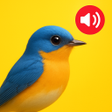 Ícone do programa: WildTone-Sounds-of-the-Wi…