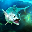 程序图标：TAP SPORTS Fishing Game