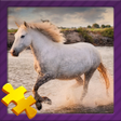 程序图标：Puzzles with animals