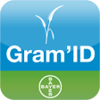 Иконка программы: GramID
