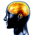 Ikon program: Brain Training