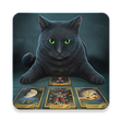 程序图标：Tarot Card Reading