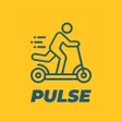 رمز البرنامج: PULSE