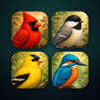 Ikona programu: Birdblocks: Fun Flocks