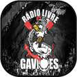 程序图标：Rádio Livre Gaviões