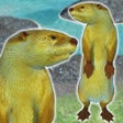 ไอคอนของโปรแกรม: Otter Friends