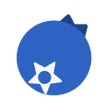 Icono de programa: Blueberry New Tab
