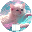 Ícone do programa: Miraculous Wallpapers