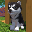 Ikona programu: Cute Pocket Puppy 3D - Pa…