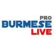 Programın simgesi: Burmese Live Pro