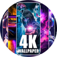 程序图标：Todays wallpapers