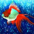 プログラムのアイコン：Goldfish Friends